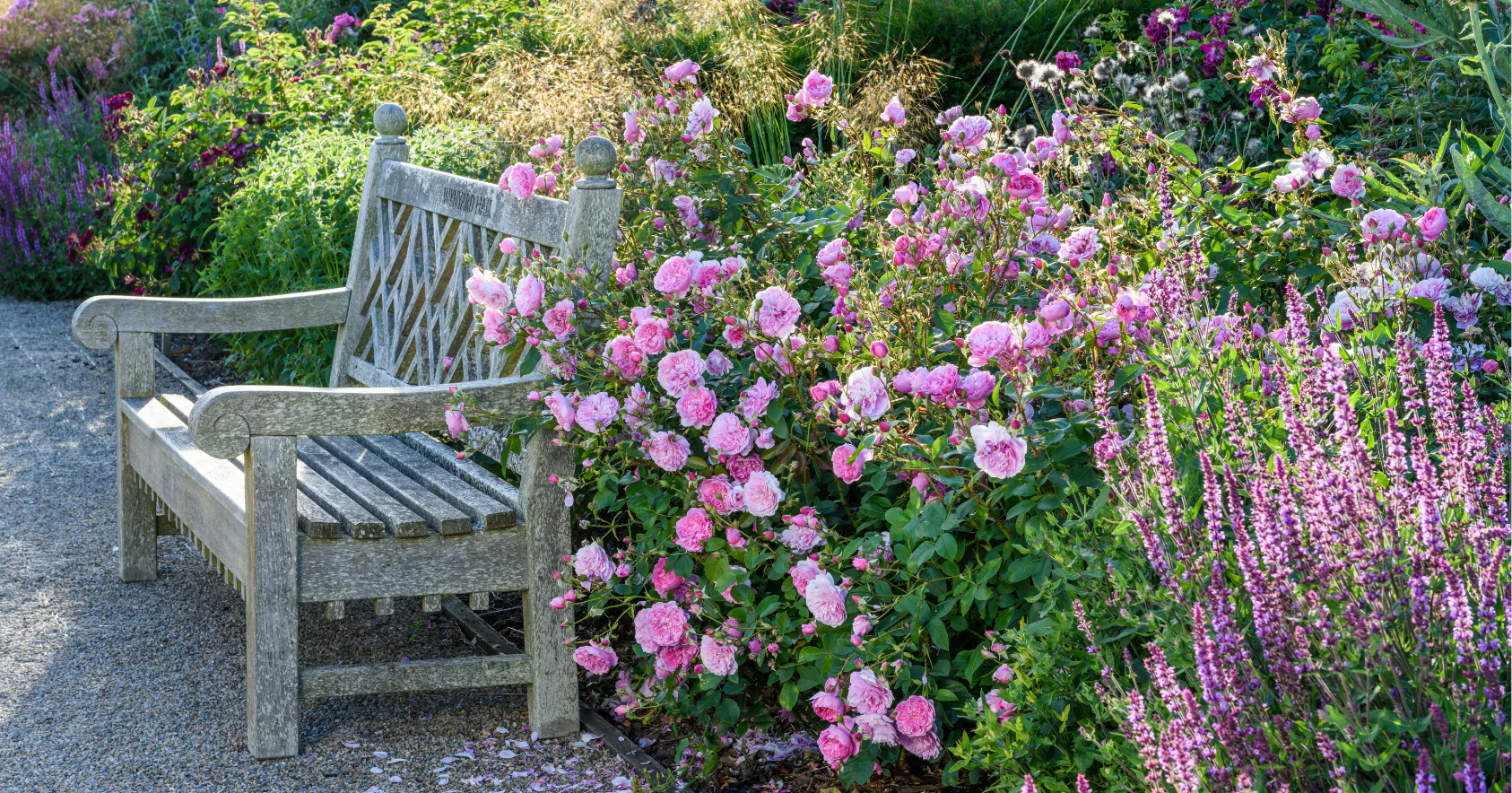 Cultivate Your Forever Garden